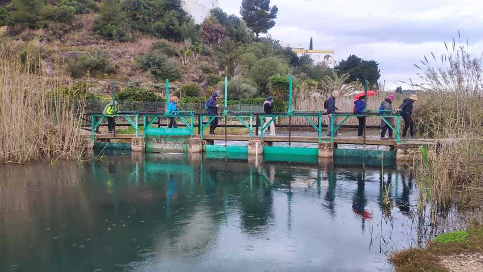 gente andando cerca de agua