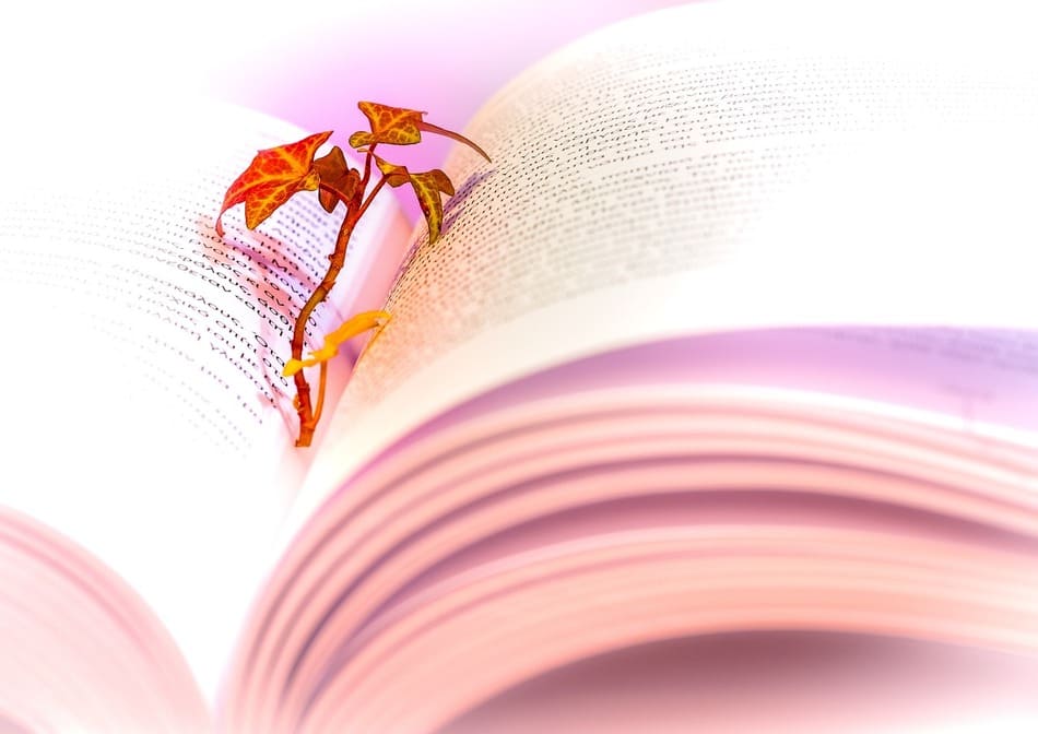 Libro abierto con flor en el interior