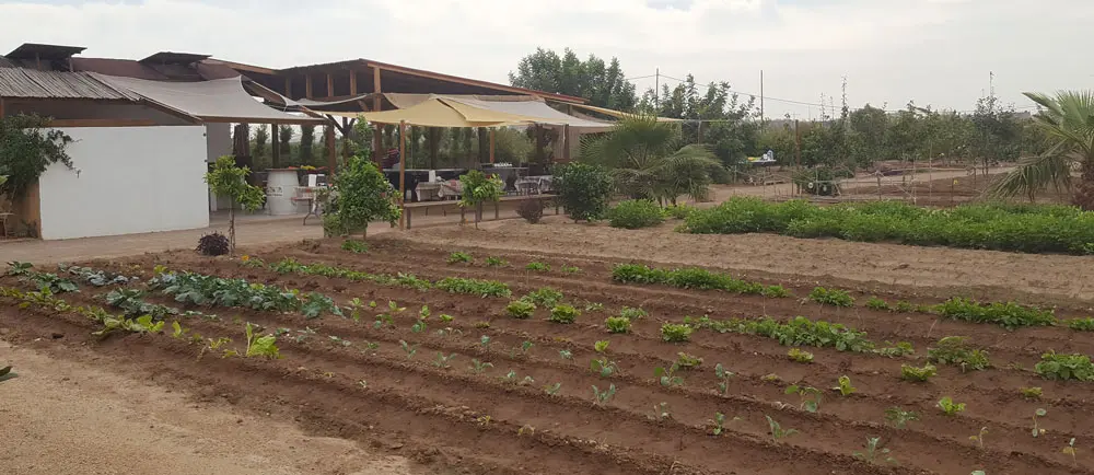 Restaurante D’Excubreix l’Horta en Borbotó, donde se ve la huerta
