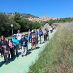 Grupo de personas caminando por camino verde