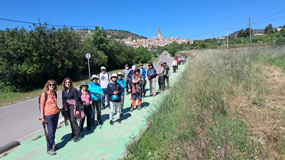 Grupo de personas caminando por camino verde