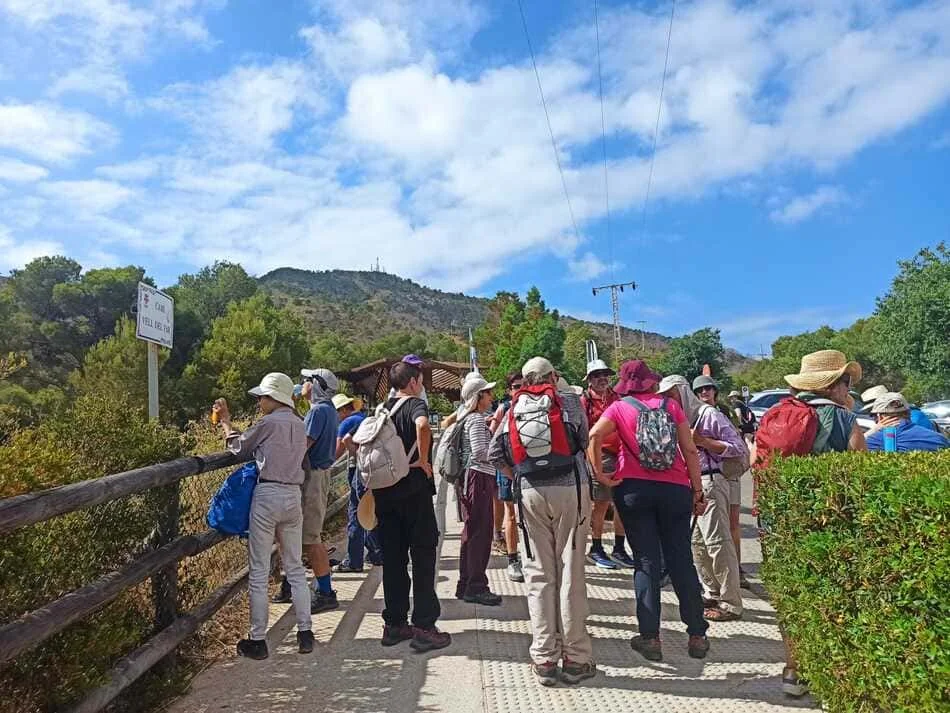 Grupo de personas paseando