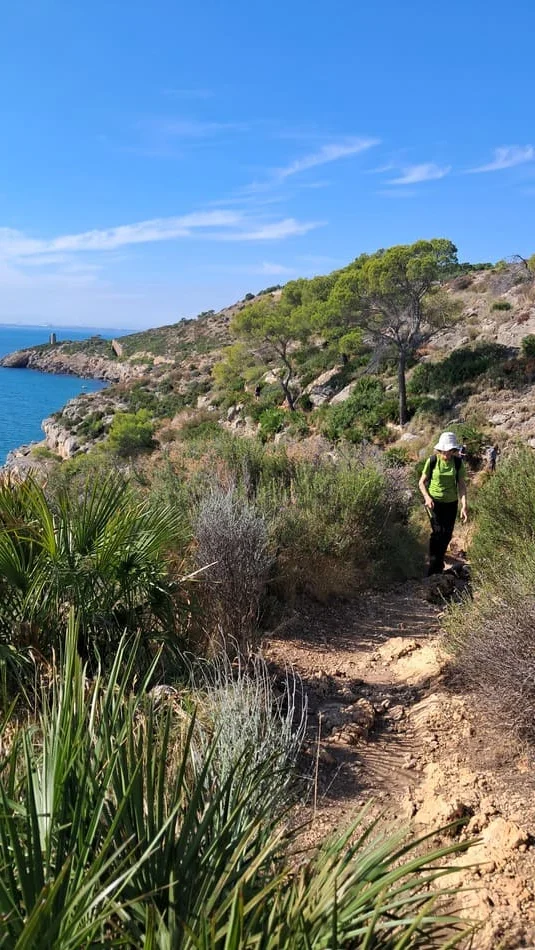 Montaña con camino bordeando el mar